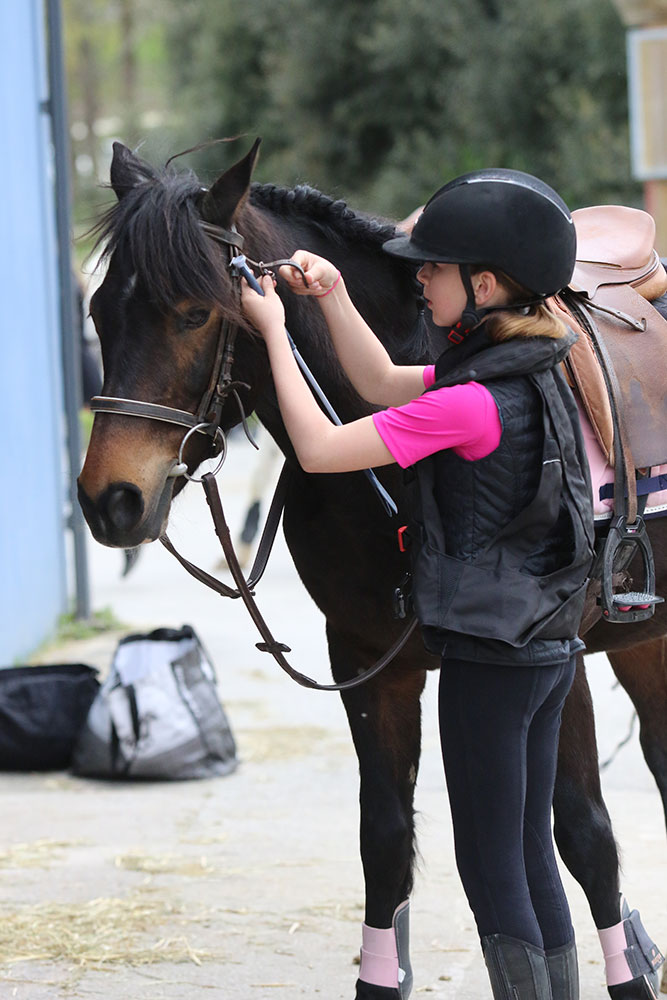 cours équitation ploemeur Lann er roch