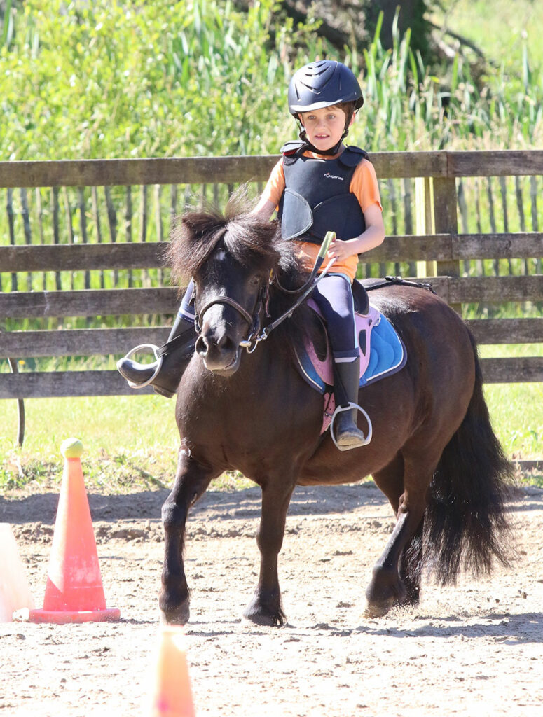 Cours équitation shetlands Ploemeur - Centre équestre de Lann er roch