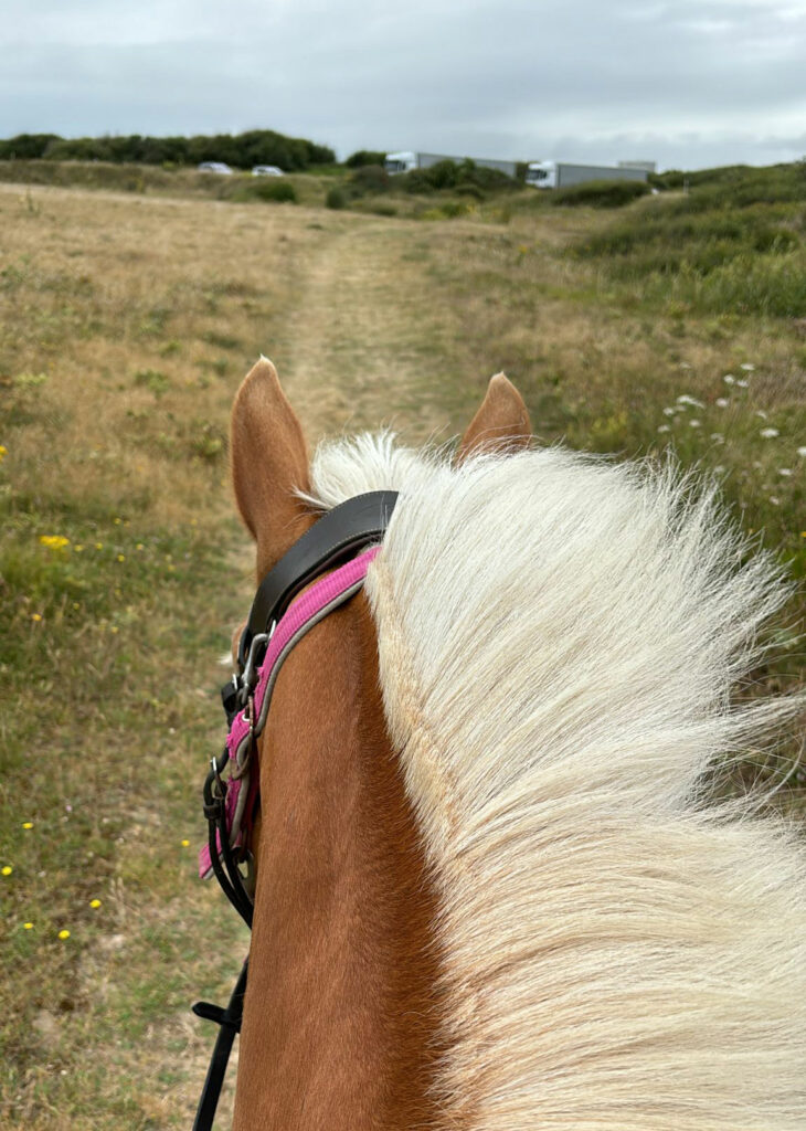 balade à cheval ploemeur