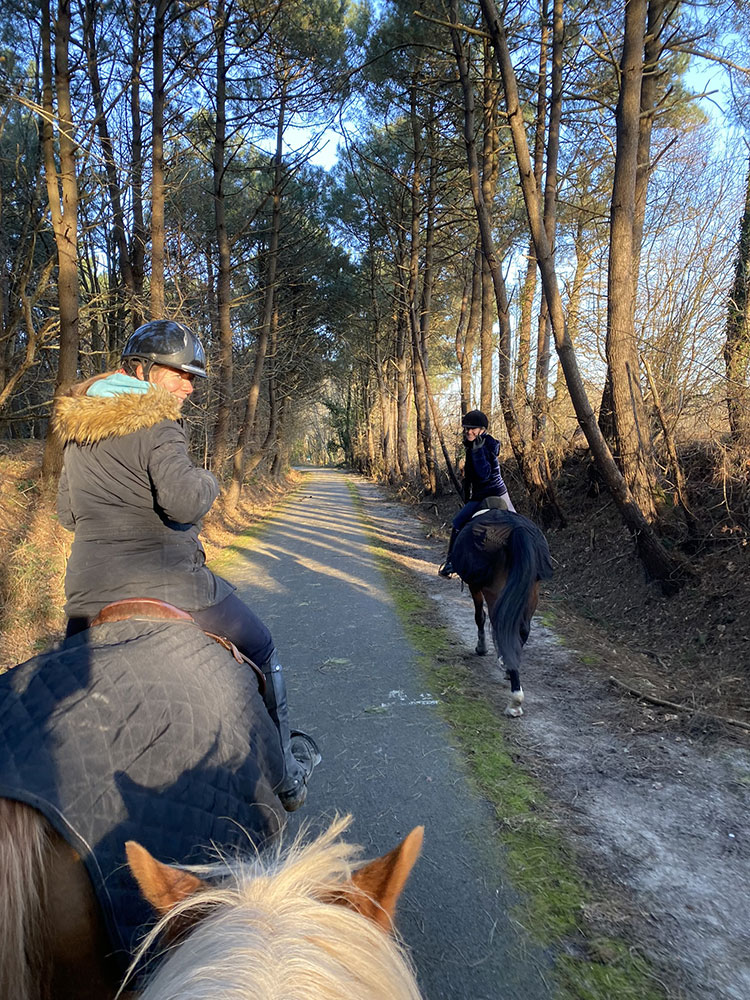 balade à cheval à ploemeur