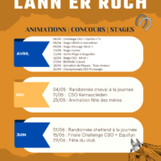 Calendrier des activités